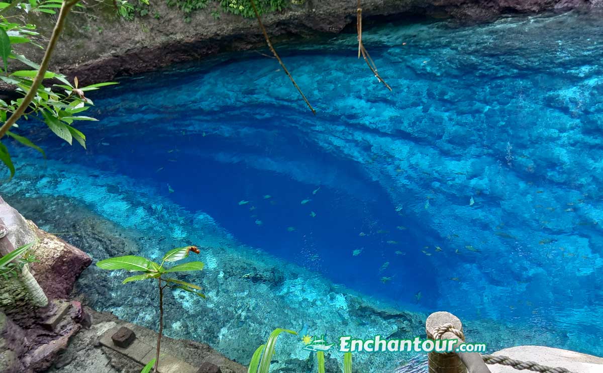 DEEP BLUE SPRING: Your Guide to the Hinatuan Enchanted River